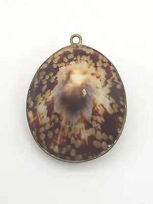 Vintage Limpet Natural Shell Jewelry Pendant Polished  2  • $7