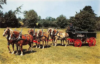 # G3195   Horse Drawn Wagon   Postcard  O'keefes  Six Horse Hitch • $5.99