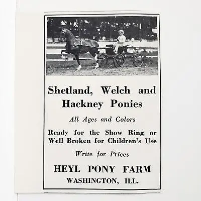 1936 Heyl Pony Farm Washington ILL Shetland Welch Hackney Photo Print AD • $15.99