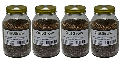 Four Quart Jars Of Sterilized Rye Grains With Self Healing Injection Ports • $48.71