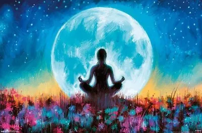 YOGA MOON - PD MORENO ART POSTER - 22x34 - 18245 • $9.95