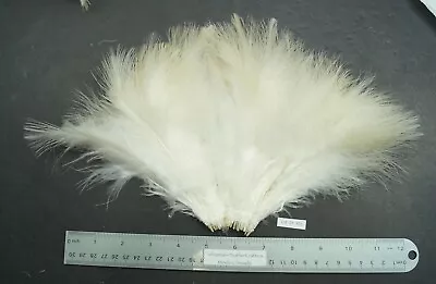 Natural Cream/White 5  To 6  Strung Turkey Marabou Feathers Lot- SF 451 • $5.99