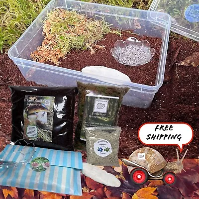 £12.99 • Buy 3L Giant African Land Snail Starter Kit, Garden Snail, Complete Low Cost Kit