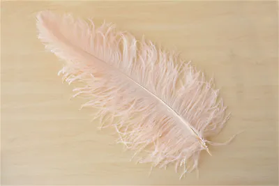 Long Wedding Party Costume Plume 55-60cm Large Quality Champagne Ostrich Feather • £6.99