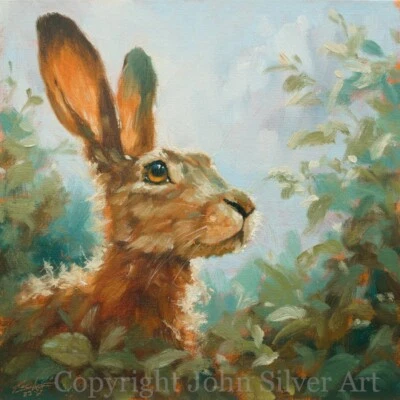 HARE PORTRAIT ORIGINAL WILDLIFE FINE ART PAINTING 10 X 10 Inch By JOHN SILVER BA • £19