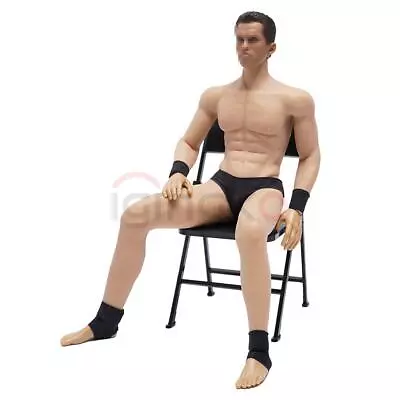 1/6 Seamless Muscular Male Figure Body For 12  TBLeague Hot Toys BBI Phicen Head • £57.99