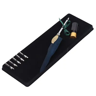 Quill Pen Set Feather Calligraphy Pen With Empty Ink Bottle And Metal Nib AUS • £12.45