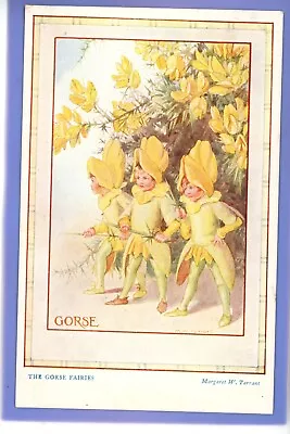 Old Vintage Postcard Artist Signed Margaret Tarrant The Gorse Fairies Children • £1.99