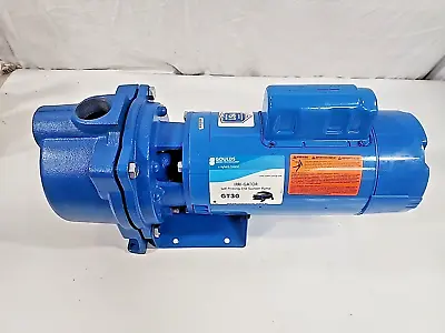 Goulds GT30 Self-Priming Centrifugal Pump 105 GPM 3 HP 230 Volts TESTED • $899.99