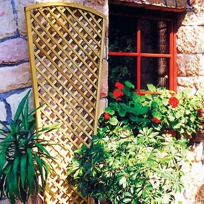 English Primrose Fan Design Trellis Outdoor Garden Wall Privacy 1.83m X 0.8m • £69.98