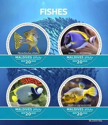 Maldives Fish Stamps 2020 MNH Fishes Sweetlips Blue Tang Puffer Pufferfish 4v MS • £7.99