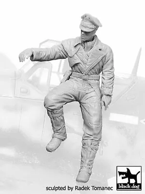 Black Dog 1/32 German Luftwaffe Fighter Pilot #6 WWII On Edge Of Cockpit F32066 • $23.97