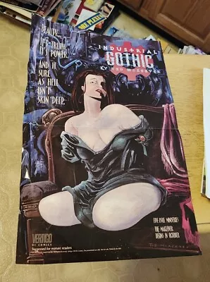 Vintage 1995 Industrial Gothic By Ted McKeever Vertigo Poster Beauty Skin Deep • $4.98