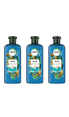 3 X Herbal Essences Bio:Renew  Repair Vegan Shampoo With Argan Oil Pack Of 3x250 • £15.99