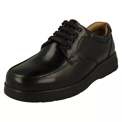 Mens DB Casual Lace Up Shoes With Removable Insoles - Congo • £99