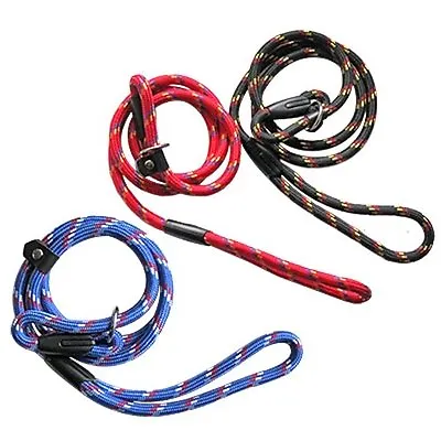 Adjustable Nylon Slip Lead Leash Rope Dog Whisperer Cesar Millan Train Collar!!! • £6.99