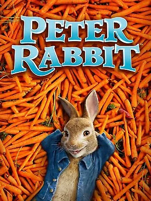 Peter Rabbit [DVD] [DVD] • $22.41