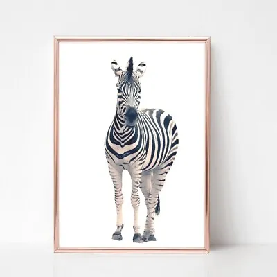 ZEBRA Print Poster A4  Picture Unframed Print 26 Monochrome Black White • £3.99