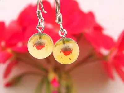 Mexican Amber Calibrated Sphere Earrings 1 G • $18