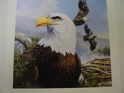 Now Is The Time Bald Eagle Ltd. Ed. Print By Mario Fernandez Mint Never Framed • $60