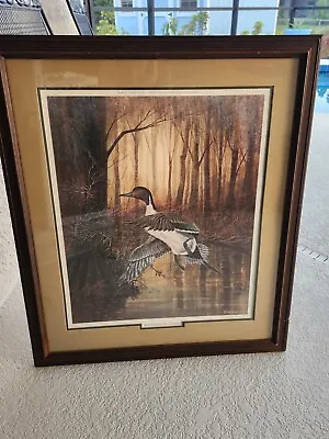  R. J. McDonald   WALKER'S POND  PINTAIL Print Framed & Signed 1984 • $149.99