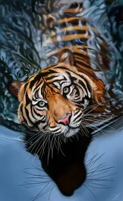 Digital Image Picture Photo Pic Wallpaper Background Tiger Water Cat AI ART 7777 • $0.99