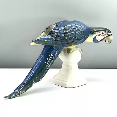 16  Royal Dux BLUE MACAW PARROT Porcelain BIRD FIGURINE Czechoslovakia VTG #1 • $225