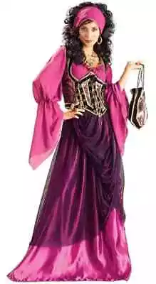 Wench Medieval Renaissance Gypsy Fortune Teller Pirate Halloween Adult Costume • $136.83