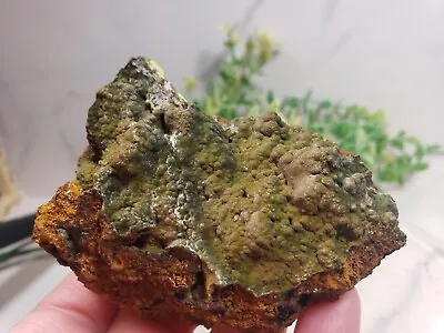 138g Mottramite Specimen Mapimi Ojuela Mine  Durango Mexico 3  Y15 • $16.99