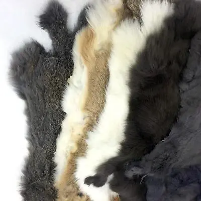 SLC Genuine Earth Tone Rabbit Pelt For Décor & Crafts Single Genuine Fur Pelt • $11.99