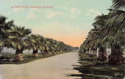 Phoenix AZ Arizona A Palm Drive Early 1900s Maricopa County Vtg Postcard D53 • $8.85