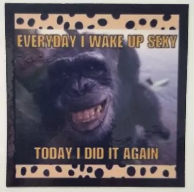 Everyday I Wake Up Sexy Today I Did It Again Smiling Monkey-MAGNET • $4.73