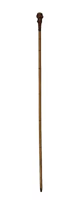 Antique Burl Wood Knob Walking Stick Cane W Brass Buckle Band 35  • $80