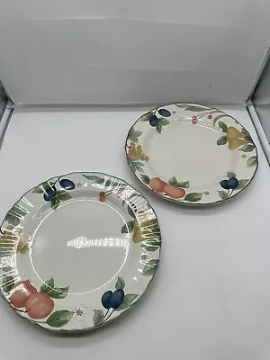 1990 Mikasa Country Classics Stoneware  Fruit Panorama  Set/2 Dinner Plates • $25