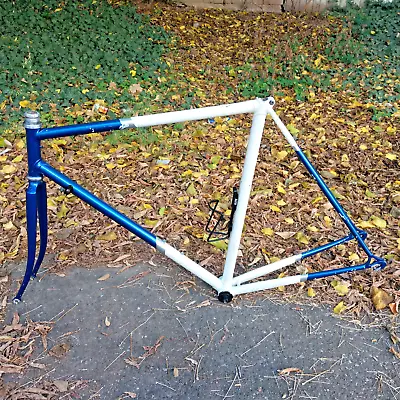 Vintage Pinarello Steel Road Bike Frame - Campagnolo Banesto | Classic Frameset • $468.65