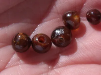 7.74 Ct. Lot 5 Pcs Mexican Fire Agate Beads • $65