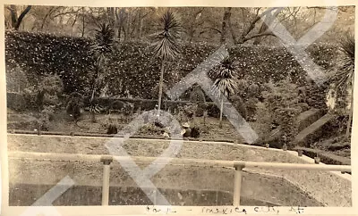 Antique Photo During MEXICAN REVOLUTION Mexico D.F. Park Scene 1913 Madero-Diaz • $9.99