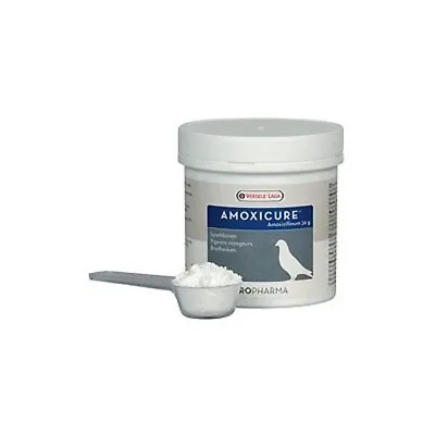 Amoxicure Versele Laga 4.2oz • $44.91