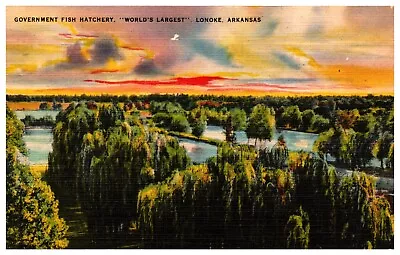 Government Fish Hatchery Lonoke Arkansas AR Vintage Linen Postcard UNPOSTED • $4.99