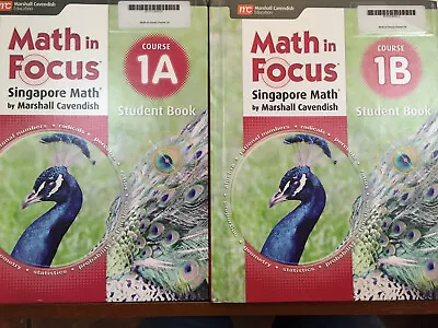 Math In Focus: Singapore Math Student Edition Grade 6 Set Course 1A And 1B • $15