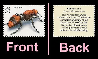 US 3351i Insects & Spiders Velvet Ant 33c Single MNH 1999 • $1.86