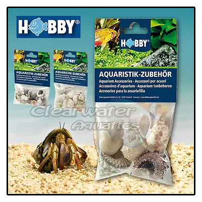 Hobby NATURAL HERMIT CRAB SEA SHELLS SET Jumbo Variety Marine Reef Fish Aquarium • £10.99