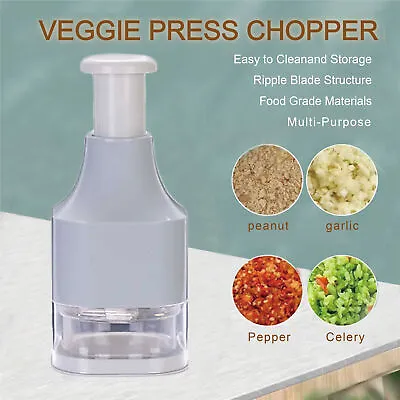 Manual Hand Press Garlic Onion Vegetable Food Chopper Cutter Processor Dicer • $18.95