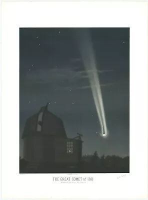 1881 Illustration Of The Great Comet Of 1881 Astronomy Art Poster Print • $30