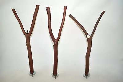 Manzanita Bird Perches 3 Pack Forked Multibranch  W/ Hardware  * Healthy Feet :) • $16.99