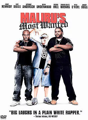 Malibu's Most Wanted (DVD 2003 Full Screen) • $2