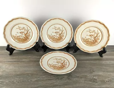 Antique Furnivals Quail 1913 -  Set Of 4 Salad Plates -  England -  7  7/8  • $39.99