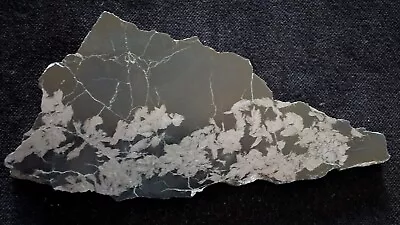 Magnetite Var. Mushketovite Pseudo After Hematite In Nephrite Polished Slice • $69.95
