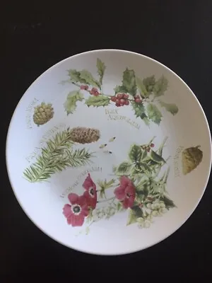 Marjolein Bastin / Hallmark Vintage 1995 8.5  Christmas Themed Dinner Plate • $4