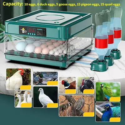 For Chicken Goose Bird Quail Pigeon Eggs Incubator Fully Automatic Hatchery Tool • $51.29